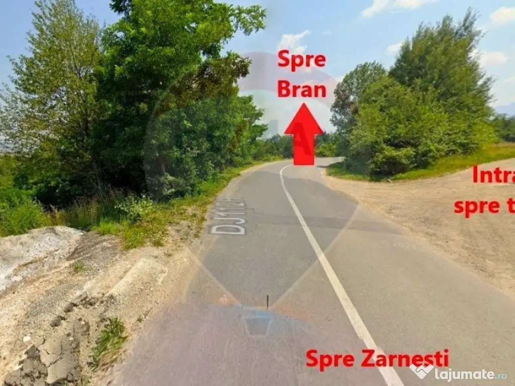 Teren Bran-Zarnesti - Tohanita, 4223mp