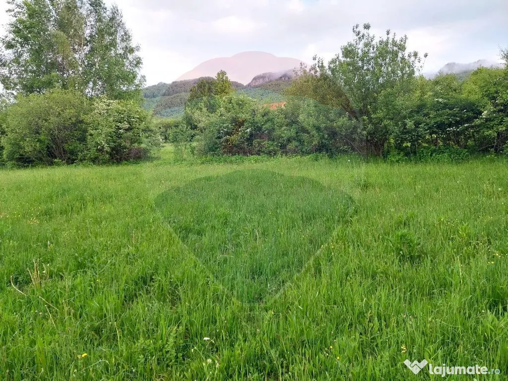 Teren Bran-Zarnesti - Tohanita, 4223mp