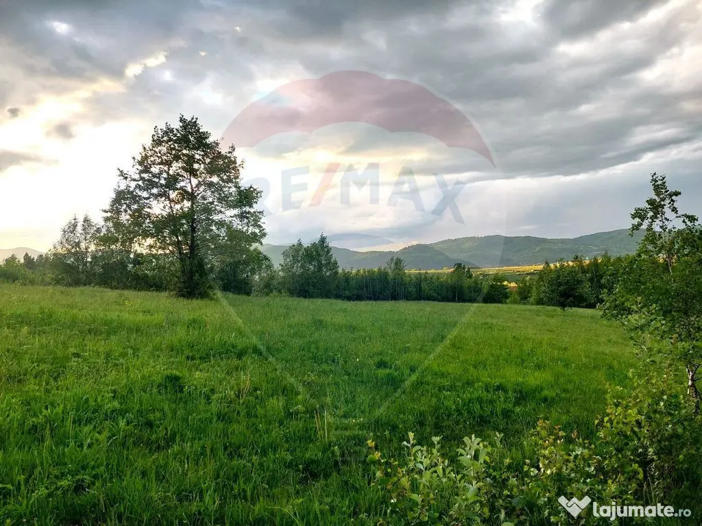 Teren Bran-Zarnesti - Tohanita, 4223mp