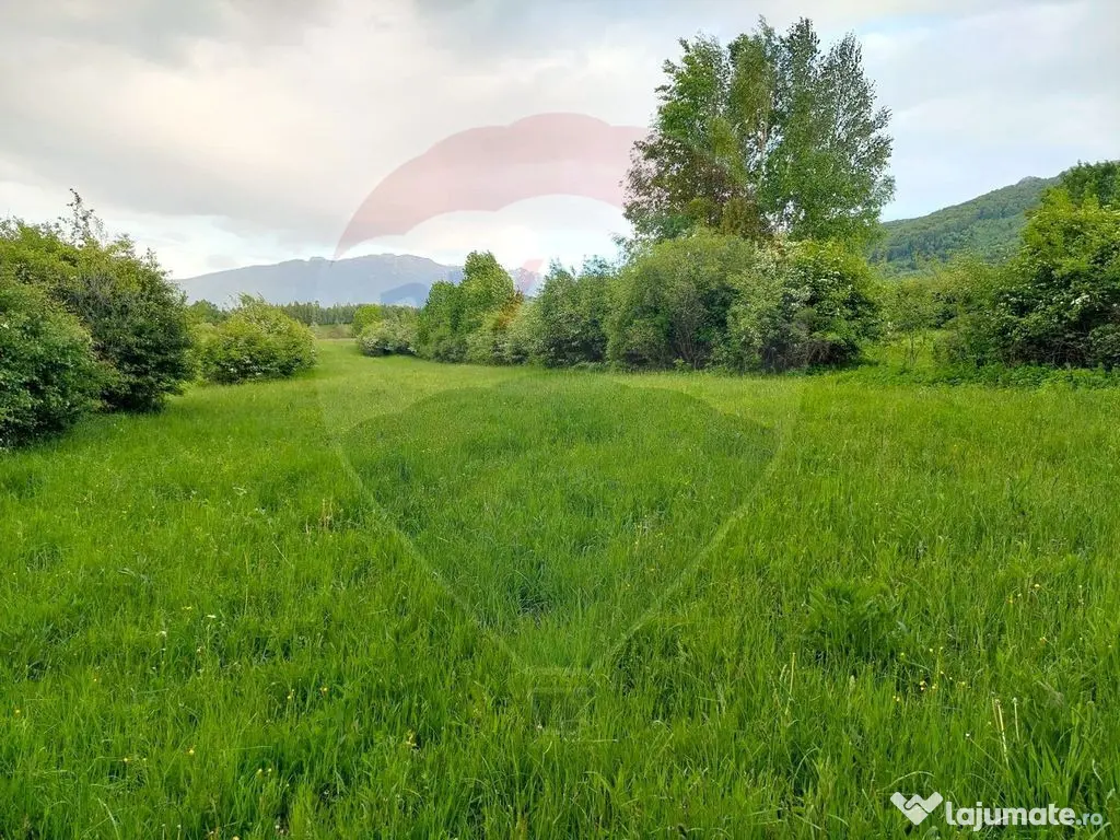 Teren Bran-Zarnesti - Tohanita, 4223mp