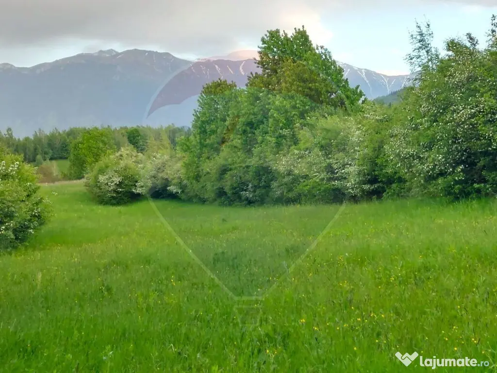 Teren Bran-Zarnesti - Tohanita, 4223mp