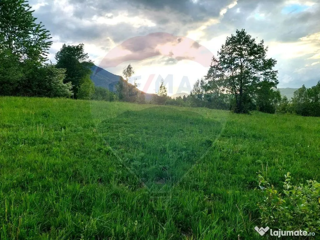 Teren Bran-Zarnesti - Tohanita, 4223mp