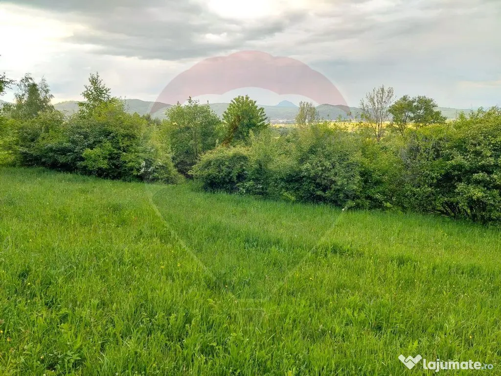 Teren Bran-Zarnesti - Tohanita, 4223mp