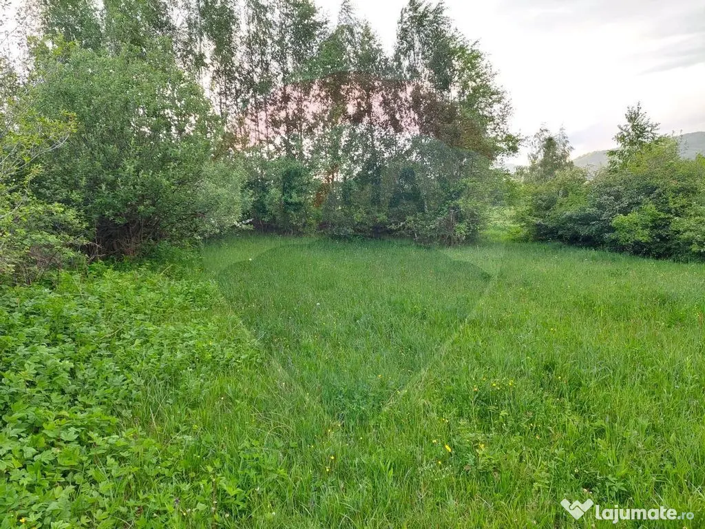 Teren Bran-Zarnesti - Tohanita, 4223mp