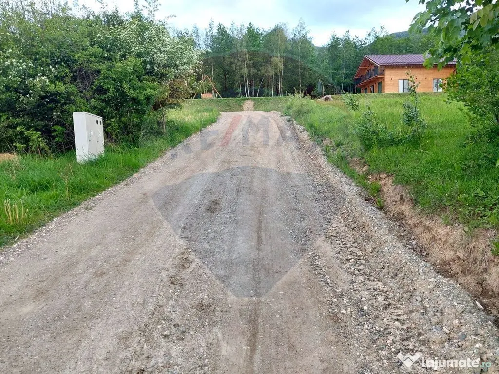 Teren Bran-Zarnesti - Tohanita, 4223mp