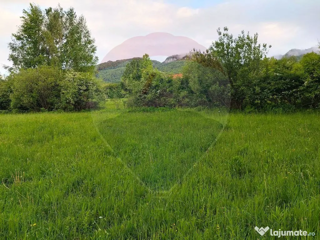 Teren Bran-Zarnesti - Tohanita, 4223mp