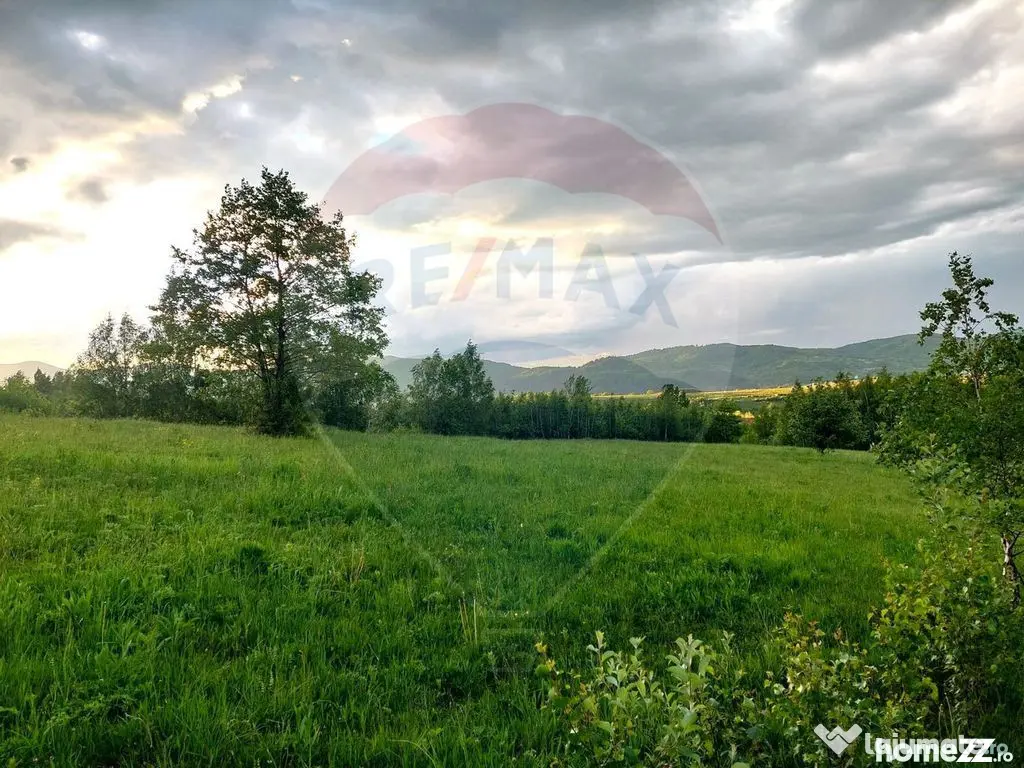 Teren Bran-Zarnesti - Tohanita, 4223mp