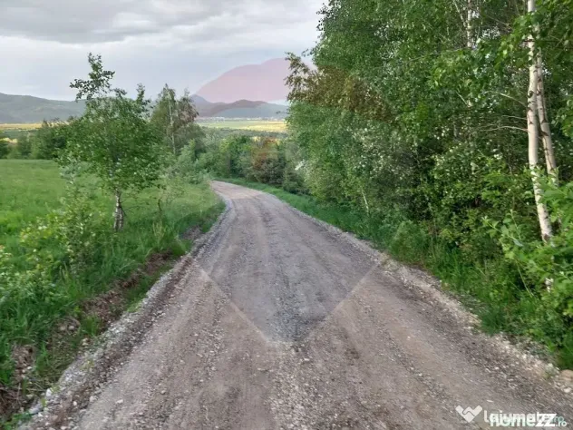 Teren Bran-Zarnesti - Tohanita, 4223mp
