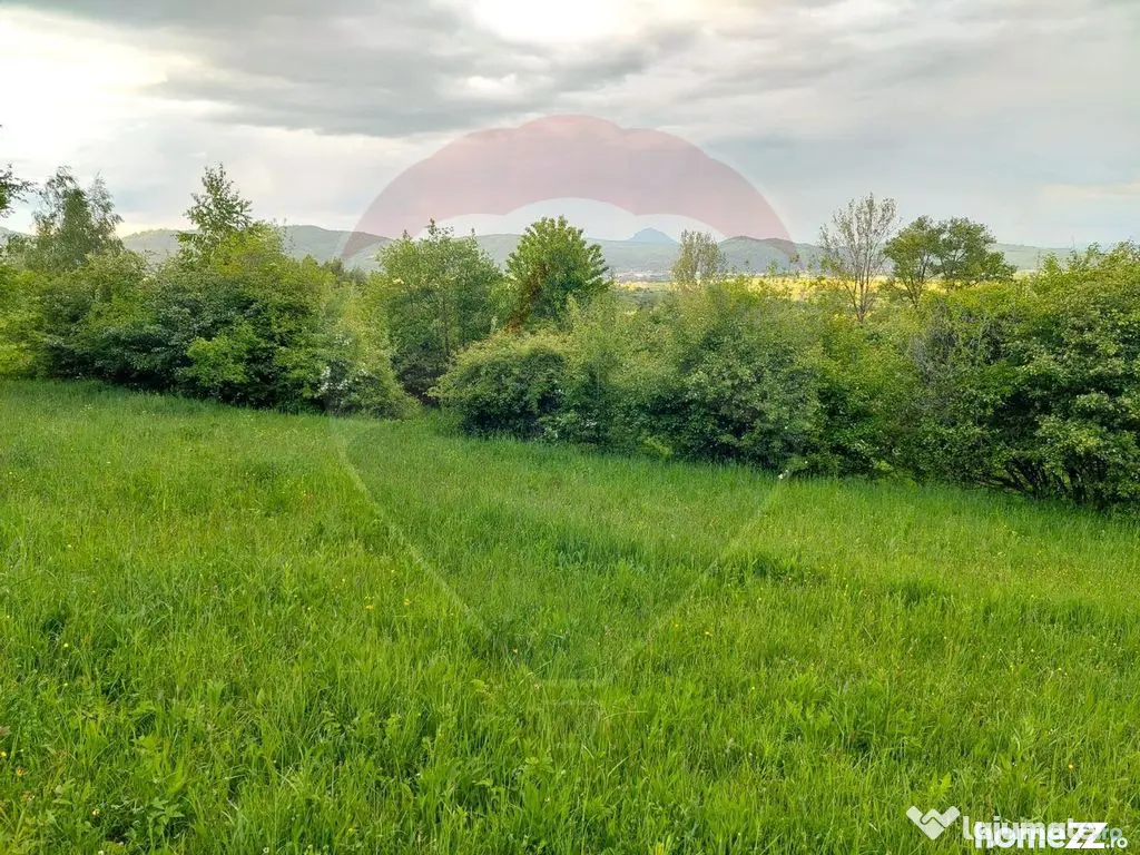 Teren Bran-Zarnesti - Tohanita, 4223mp