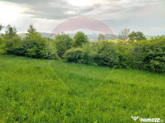 Teren Bran-Zarnesti - Tohanita, 4223mp
