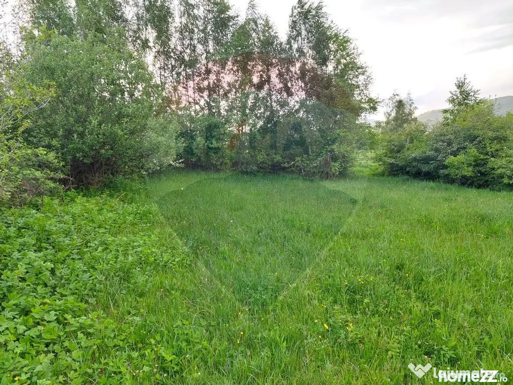 Teren Bran-Zarnesti - Tohanita, 4223mp