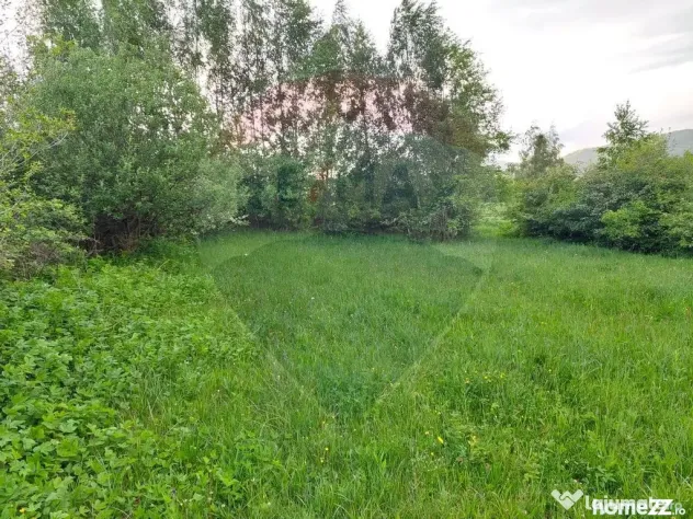 Teren Bran-Zarnesti - Tohanita, 4223mp