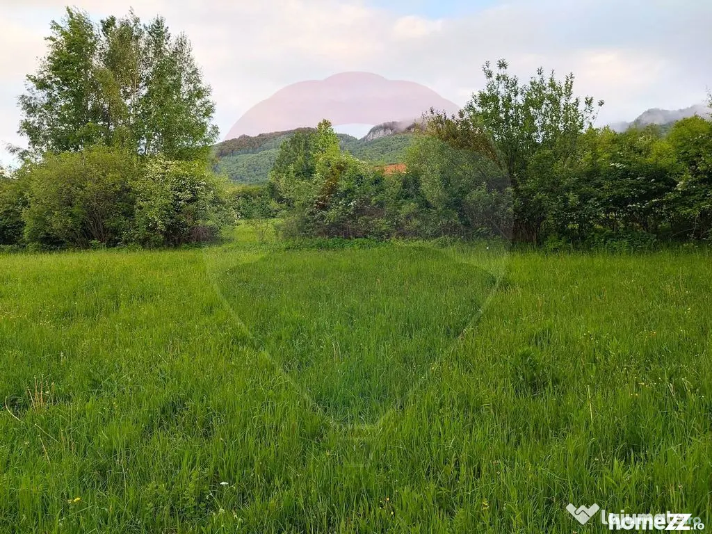 Teren Bran-Zarnesti - Tohanita, 4223mp