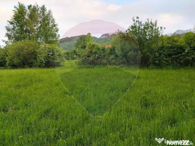 Teren Bran-Zarnesti - Tohanita, 4223mp