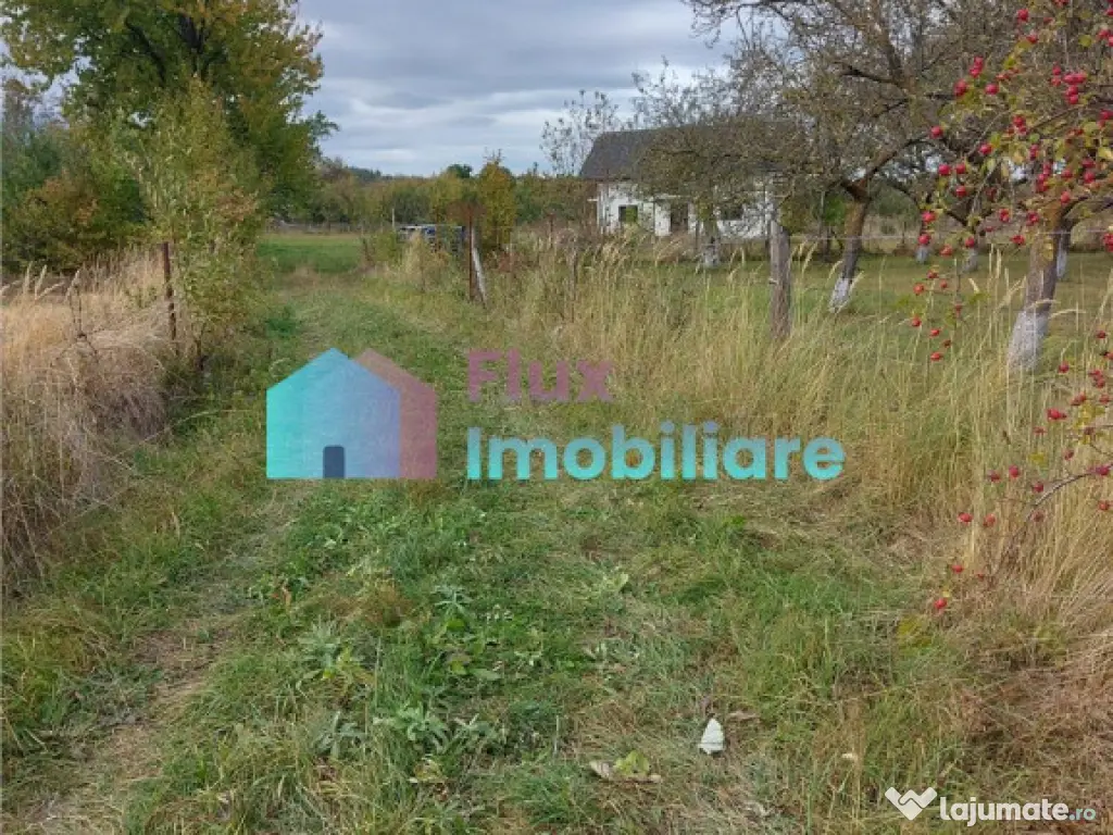 Casa cu 8450 mp teren in Solca