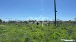De vânzare teren extravilan 500 mp, în Loc. Eforie Sud ( T