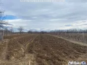 Casa situata în orasul Târgu-Carbunesti , Localitatea Flor 