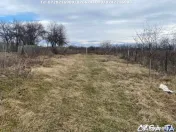 Casa situata în orasul Târgu-Carbunesti , Localitatea Flor 