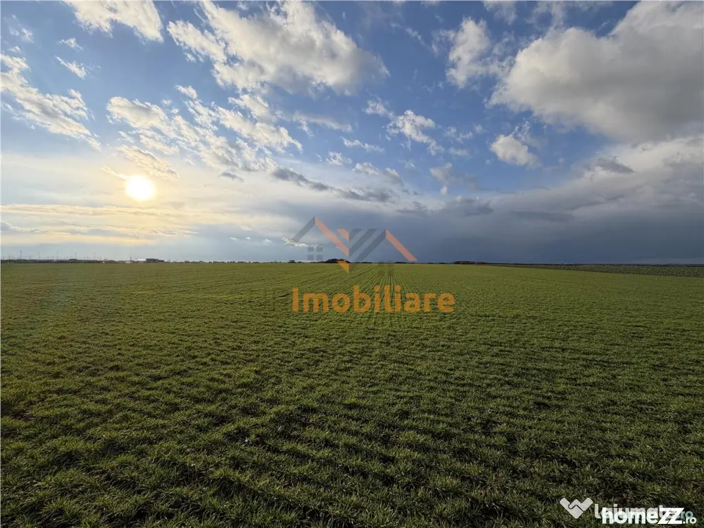 TEREN INTRAVILAN 24457 MP | 80 ML FRONT STRADAL | ORADEA | B