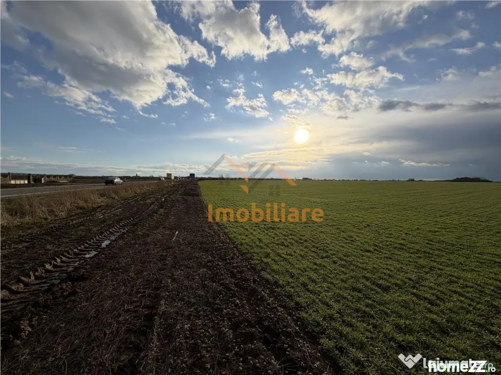 TEREN INTRAVILAN 24457 MP | 80 ML FRONT STRADAL | ORADEA | B