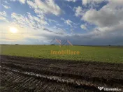 TEREN INTRAVILAN 24457 MP | 80 ML FRONT STRADAL | ORADEA | B 