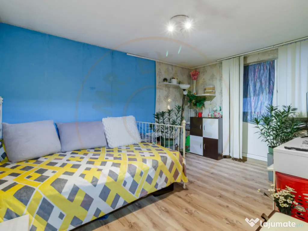 Casa 3 camere Dragomiresti principala