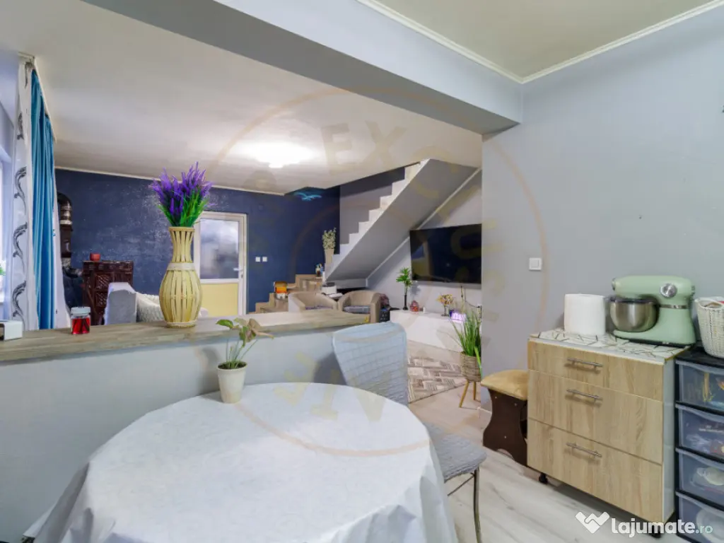 Casa 3 camere Dragomiresti principala