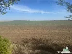 Teren intravilan construibil, in Branesti-Ilfov, 1330 mp, i