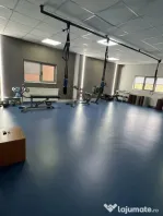 Spatiu comercial P+1, 440 mp, zona Brazda lui Novac