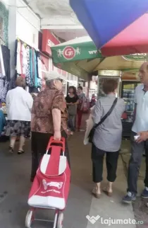 Spatiu comercial zona Titan, Piata Minis