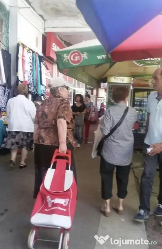 Spatiu comercial zona Titan, Piata Minis
