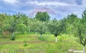 Casă 3 camere de vânzare în Miniș, jud. Arad 