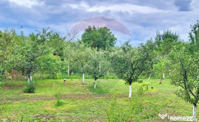 Casă 3 camere de vânzare în Miniș, jud. Arad