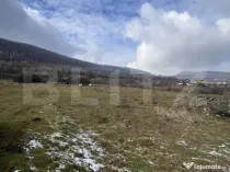 Comision 0 - Teren intravilan 20 arii acces DN15, Viisoara