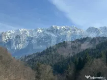 Teren exceptional de vanzare, 5.170 mp - zona Plaiu Foii, Za