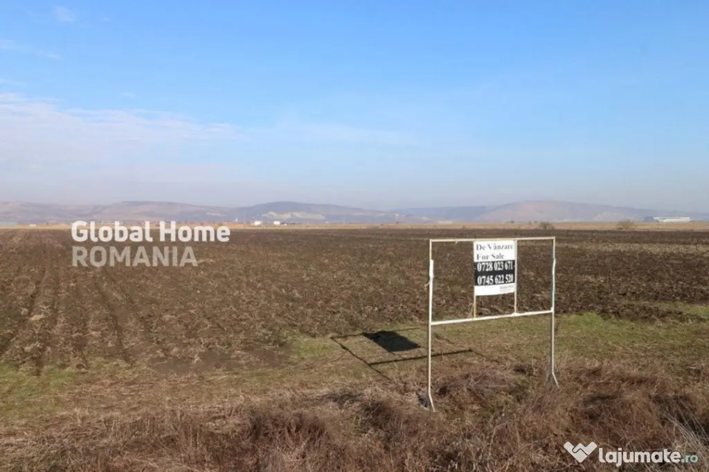 Teren 25000 MP | TG. MURES-SANPAUL | INTRAVILAN | 98 m acces