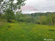 COMISION 0% | Teren 2,000mp Bran | Strada Clincea | 