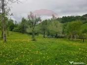 COMISION 0% | Teren 2,000mp Bran | Strada Clincea | 