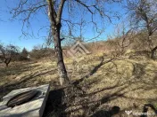 Teren 3341 mp Valea Budacului 