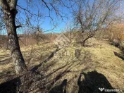 Teren 3341 mp Valea Budacului 