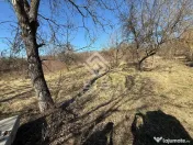 Teren 3341 mp Valea Budacului 