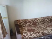 Garsoniera - granit - si animale de companie 