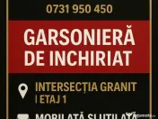 Garsoniera - granit - si animale de companie 
