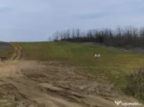 Teren intravilan de vânzare 6050 mp – Leșile