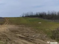 Teren intravilan de vânzare 6050 mp – Leșile