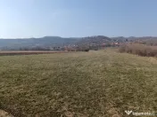 Remetea Chioarului, 29 ari teren 