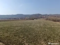 Remetea Chioarului, 29 ari teren