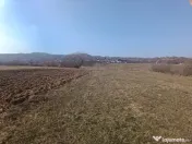 Remetea Chioarului, 29 ari teren 