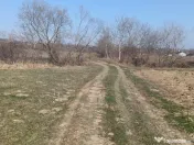 Remetea Chioarului, 29 ari teren 