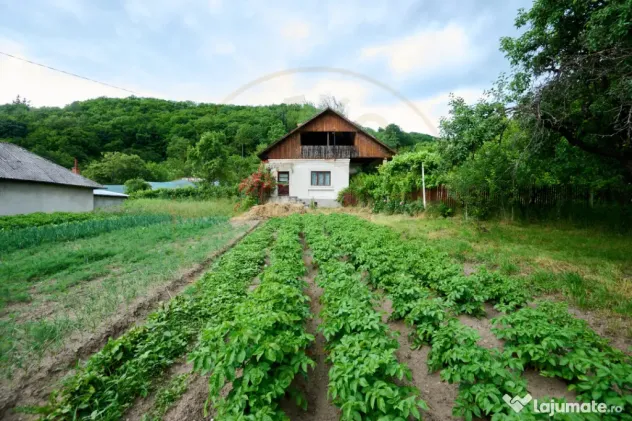 Casa cu teren generos - 4696 mp Apa Sarata - Campulung !!
